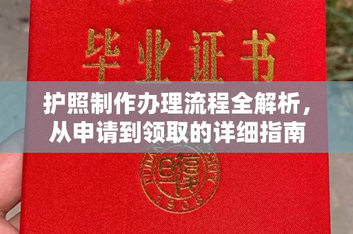 秀洲护照制作办理流程全解析，从申请到领取的详细指南